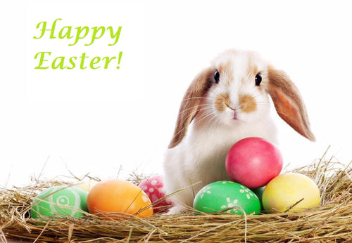 Happy Easter Bunny Edible Cake Topper