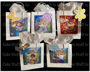 Encanto Party Favors Gift Bags with Gift Tags and Tissue Paper